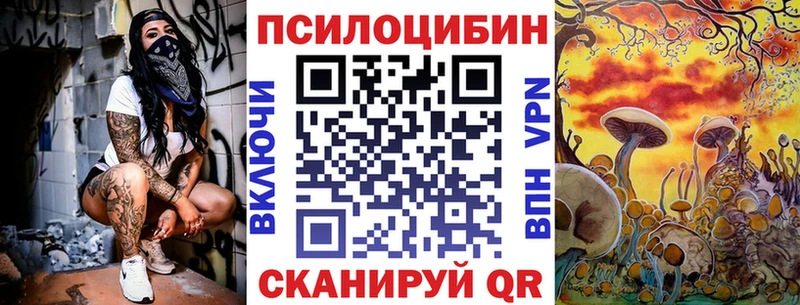 цены наркотик  Шарыпово  Галлюциногенные грибы Cubensis 
